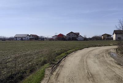 FARA COMISIOANE in Sabareni teren in suprafata de 23200mp gaze curent la teren - 5