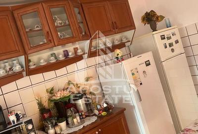 Casa individuala plus anexa, zona centrala in Faget - 14