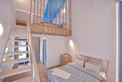 Proprietate superba Delta Dunarii - 5