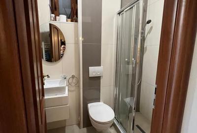 Apartament 3 camere, garaj si boxa - zona Centrala-Prefectura - 19