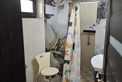 Exclusivitate! Duplax Valea Lupului in zona Penny - 15