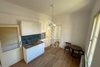 Casa individuala pe 2 nivele in Timisoara zona Balcescu - 5