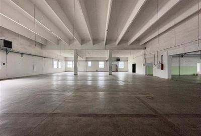 Hala/ spatiu comercial Pascani, 1500mp - 6