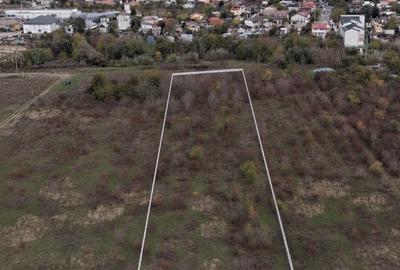 Teren Intravilan Domnești 7100mp | 12€/mp | Ideal Proiect Off-Grid & Casă Pasivă - 1