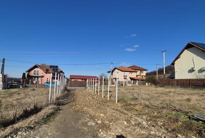 Casa pe un singur nivel-Sangeorgiu de Mures - 7