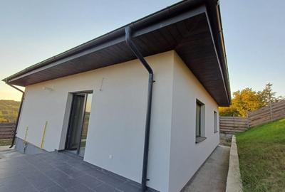 Casă parter, 3 camere, 818 mp teren, zona Valea Adanca - 15