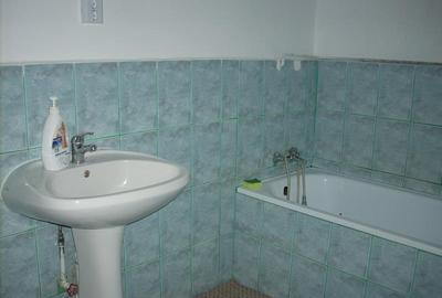 Casa cu 3.300 mp teren, in Vladimirescu! Ideal ansamblu rezidential! - 8