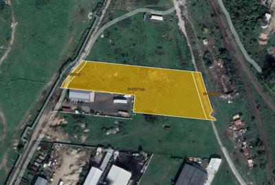 Teren intravilan - 7.221 mp - Calea Sagului - 1