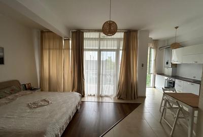 Garsonieră, mobilată în Iancu Nicolae