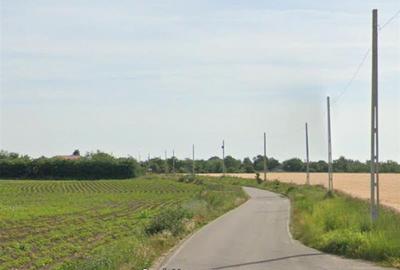 Lot intravilan 668 mp, Popesti Vasilati, la asfalt - 4