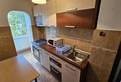 Apartament 3 camere zona Judetean,mobilat-utilat,400 Euro - 6