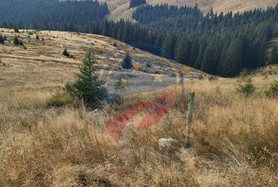 Teren de vanzare in Horezu/Bolca Pietrele Scrise/Valcea - 1