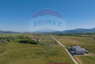 Teren Tohanu Nou, intrare Sohodol, 4800mp - 14