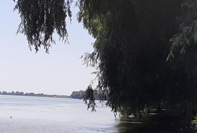 OCAZIE; teren MAHMUDIA 12euro/m.p. Suprafata 5000 m.p. Deschidere la Dunare 48m - 4