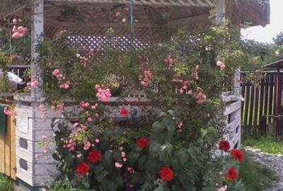 Vila cu 13 camere de vanzare in Valcea, Voineasa - 2