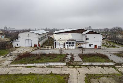Teren 28.788m + Hale industriale + Sediu Firma - 16