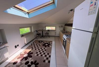 Apartament cu 2 camere semidecomandat în Tătărași