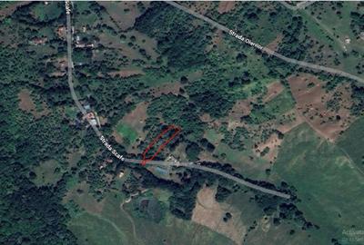 Teren intravilan com.Drajna, sat Cătunu, 12 km de Vălenii de Munte, jud. Prahova - 1