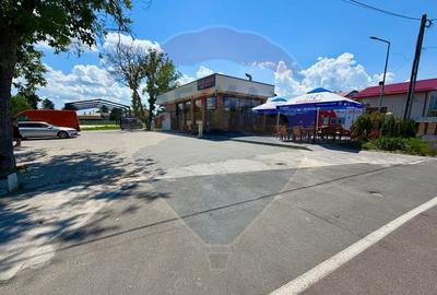 CENTRU COMERCIAL CU CHIRIAȘI 1.860 MP TEREN ULTRACENTRAL MOARA VLĂSIEI - 4