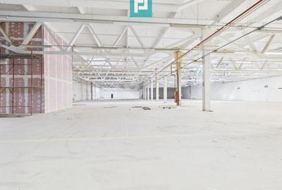 Centru Logistic – Platformă Industrială Oradea - 28