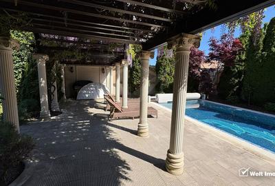 Vila superba in Andrei Muresanu, dotari de lux, piscina si SPA, 865 mp teren ! - 34
