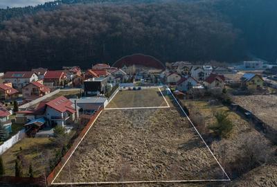Teren de vânzare 2.160 mp cu 125 euro/ mp în Bunloc - OFERTĂ - 1