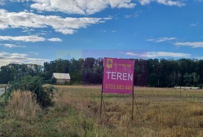 Gulia teren 11.157 mp, lângă Pădurea Cereanca - 2