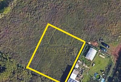 Teren constructii duplex sau individuala | Ciarda Rosie | Hornbach - 1