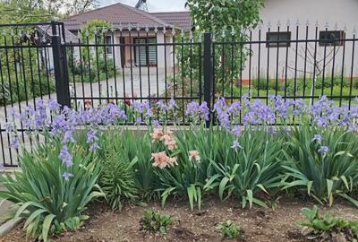 Confort si relaxare aproape de București, oraș Titu, Dâmbovița, negociabil - 2