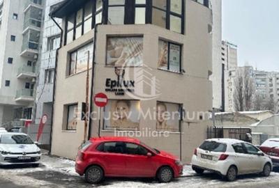 Victoriei Birouri /Vila Pasaj Basarab - Nicolae Titulescu Banu Manta - 7