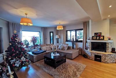 Vila superba in Snagov langa padure - 1