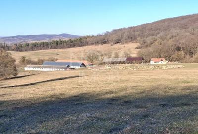 Ferma complet echipata de vanzare – zona Agnita, judetul Sibiu - 2