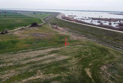 Teren extravilan 5.800 mp in Cornetu, ideal pentru investitie - 4