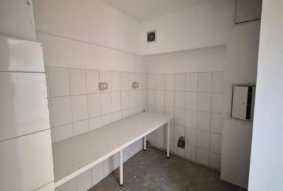 De vanzare Vila individuala, 9 camere, Mosilor - Eminescu, sector 2 - 11