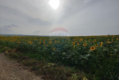 Teren parțial intravilan-300000mp Stroiești-Trei Movile, Suceava - 18
