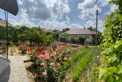 BAIA SPRIE - spre Cavnic Vila D+P+E 168mp + anexa cu teren 1526mp! - 9