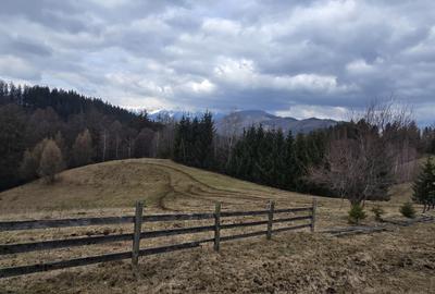 Teren intravilan construibil Brasov Bran  Poarta utilitati vedere spre munti - 3