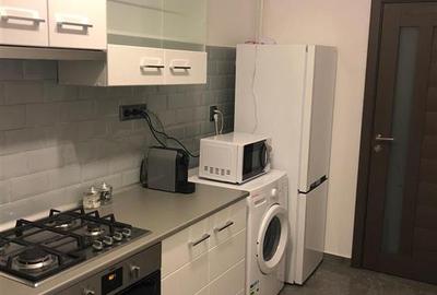 Inchiriere Ap.2 cam, conf 1, Independentei, et 4 10, mobilat si utilat, renovat - 4