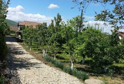 Căsuță de vânzare cu teren generos – 2000 mp – ideală pentru refugiu în natură - 4