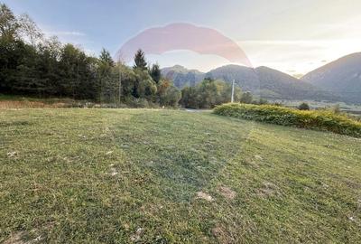 Teren 646mp intre Bran si Zarnesti (Tohanita,) intravilan - 19