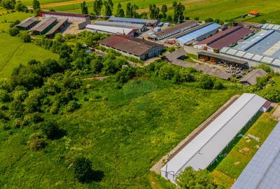 Închiriez Teren Industrial 9.335 mp – Teliu, Brașov (DN10) – Acces TIR - 6