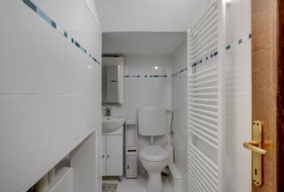 ADUNATII-COPACENI - APARTAMENT 135 MP, LOT 787 MP! - 7