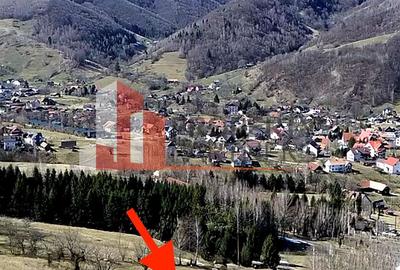 Teren Bran | 3.520 mp | Vedere Bucegi & Castelul Bran - 3