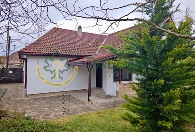 Casă de vânzare în centrul Sibiului – 3 camere și curte privată - 6