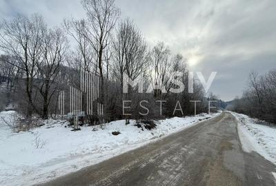 Teren intravilan 6.093 mp – Piatra Arsă, Bușteni, dezvoltare turistică premium! - 7