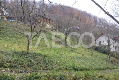 Cabana de vanzare in Ciuleni-Toplita langa lacul Cincis - 2