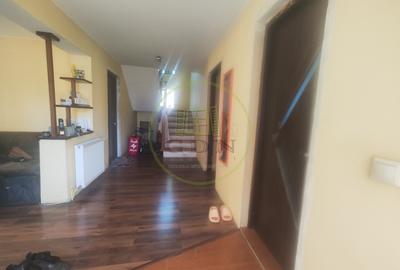 Casa 4 camere, teren 500 mp, Preajba, zona Damila - 10