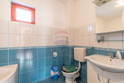 Casa de vanzare Jucu de Mijloc, Zona Panemar Teren intravilan 3301 mp - 10