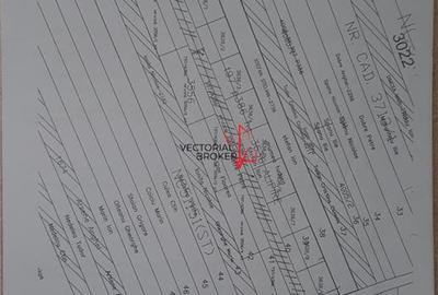 Vanzare teren intravilan Branesti Ilfov - 3