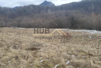 Teren Pretabil Investitie | Parau Rece Rasnov | 10.035mp | Extravilan - 6